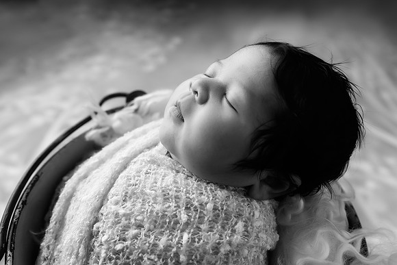 TIMOTHY_9DAYS-30bw