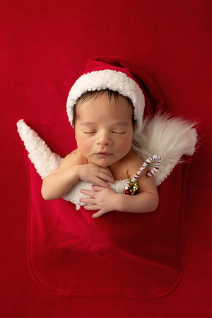 JULIAN_11DAYS-75