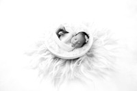 EMMA_33DAYS-20
