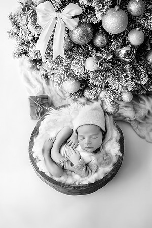 JULIAN_11DAYS-6