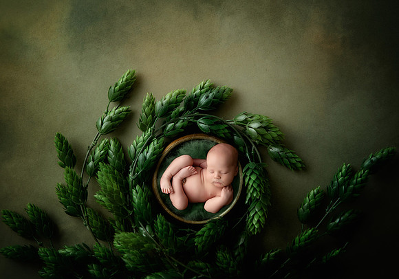 ARCHER_12DAYS-58