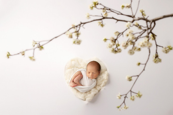 NIKOLAS_12DAYS-1