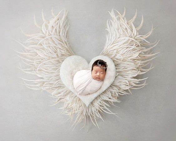 Heart wings white