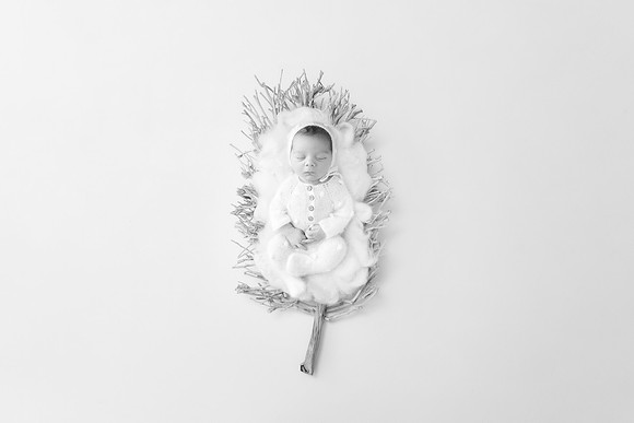 PARKER_19DAYS-16