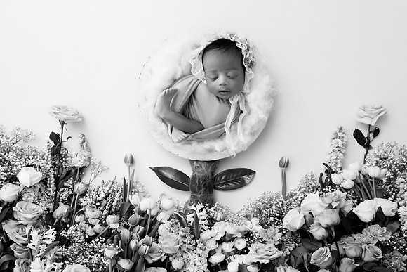 XANI_13DAYS-36