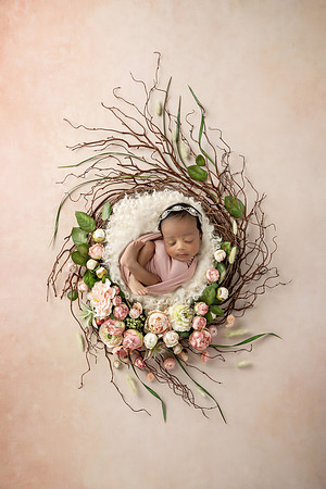 XANI_13DAYS-28