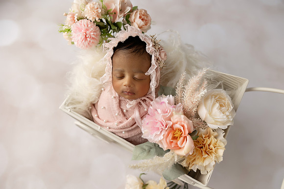 XANI_13DAYS-34