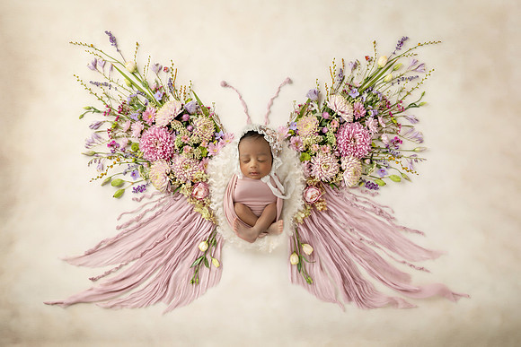XANI_13DAYS-1