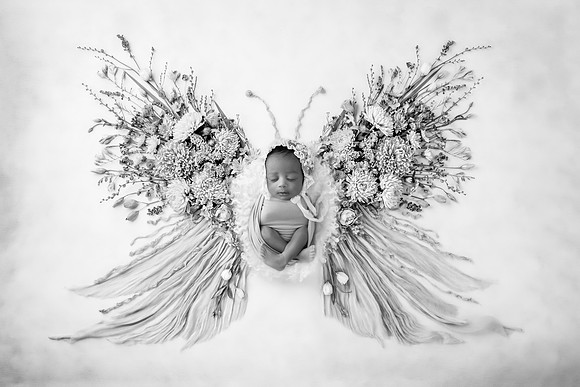 XANI_13DAYS-2