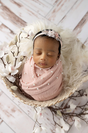 XANI_13DAYS-26