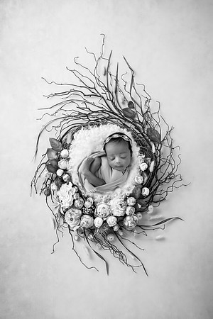 XANI_13DAYS-29