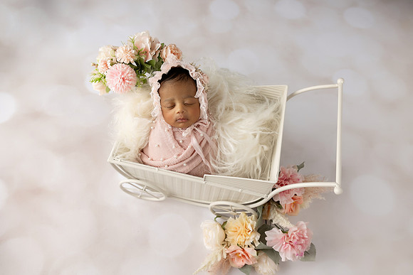 XANI_13DAYS-30