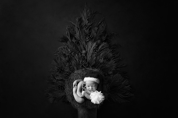 STETSON_4WEEKS-4