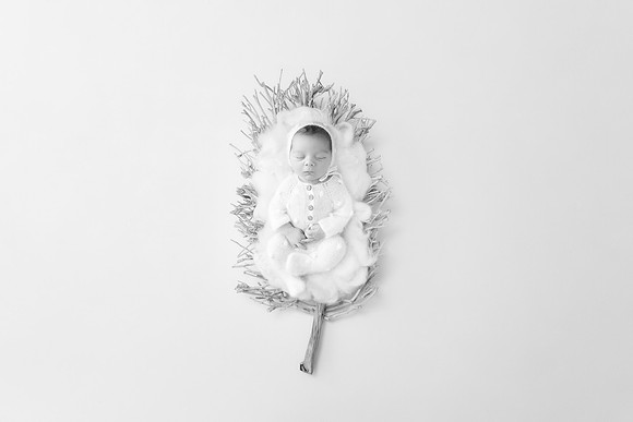 PARKER_19DAYS-16