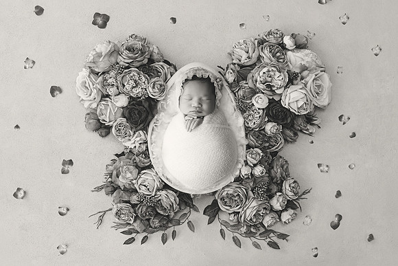 CHARLOTTE_16DAYS_30