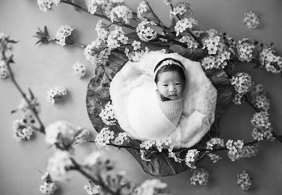 CHARLOTTE_16DAYS_2