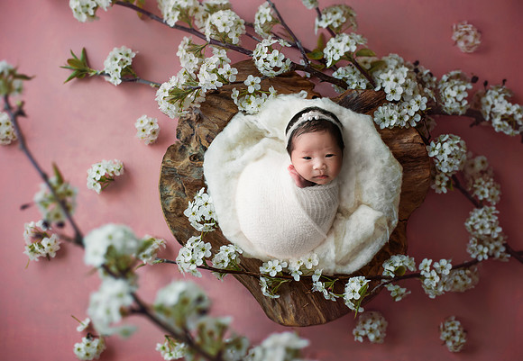 CHARLOTTE_16DAYS_1