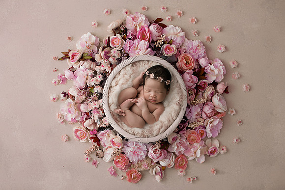 CHARLOTTE_16DAYS_85
