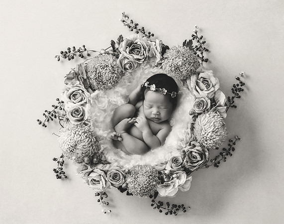 CHARLOTTE_16DAYS_78
