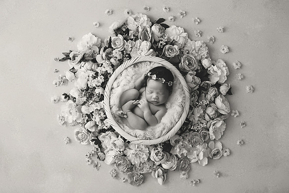 CHARLOTTE_16DAYS_86