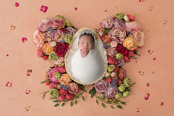 CHARLOTTE_16DAYS_29