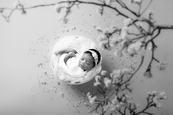 MADDYN_12DAYS-35