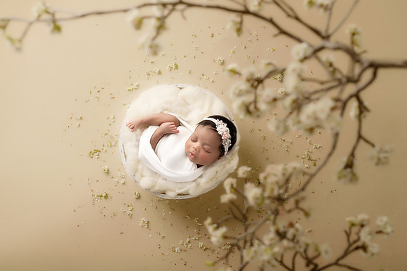 MADDYN_12DAYS-34
