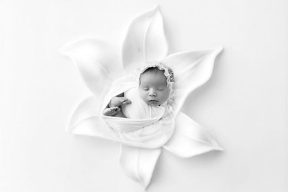 ANASTASIA_11DAYS-2