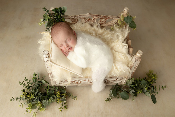 ASHTON_12DAYS-8