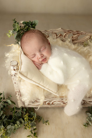 ASHTON_12DAYS-12