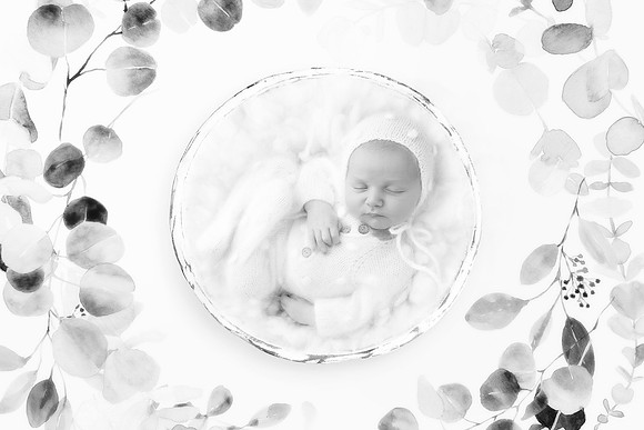 COLE_13DAYS-16