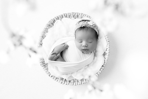 ANASTASIA_11DAYS-30