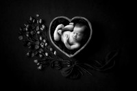 PIERSON_14DAYS-15