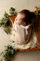 PIERSON_14DAYS-18