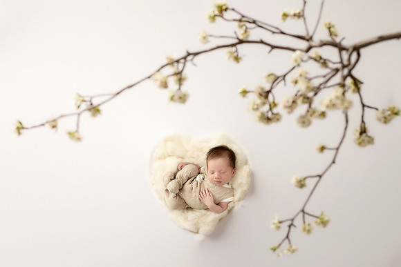 PIERSON_14DAYS-53
