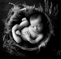 PIERSON_14DAYS-9