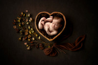 PIERSON_14DAYS-14