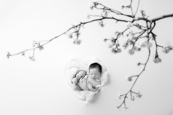 PIERSON_14DAYS-54