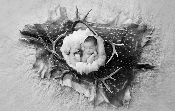 COLT_7DAYS-28