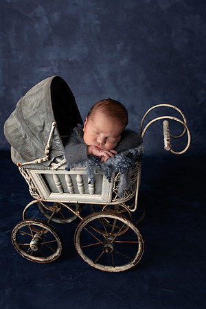 COLT_7DAYS-8