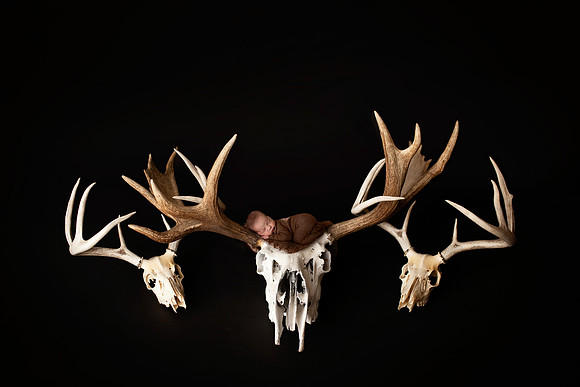 COLT_7DAYS-82