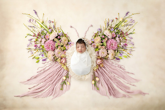 WRENLEY_14DAYS-28