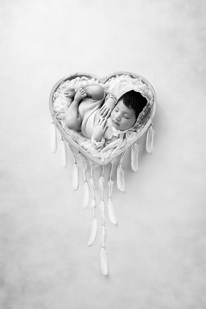 WRENLEY_14DAYS-53
