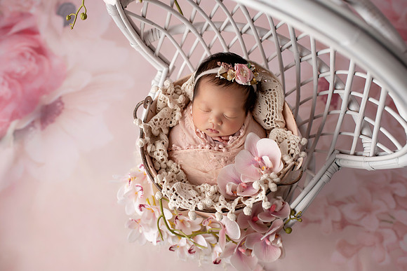 CHARLOTTE_13DAYS-14
