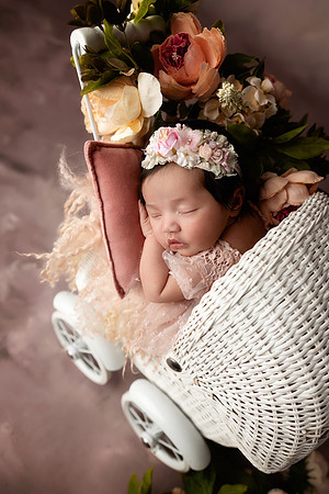 AVA_11DAYS-17
