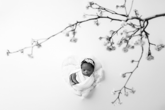 JOLEE_9DAYS-16