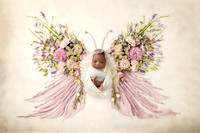 ALORA_14DAYS-16