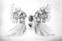 ALORA_14DAYS-17