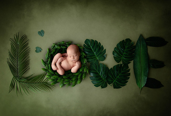ARCHER_12DAYS-13