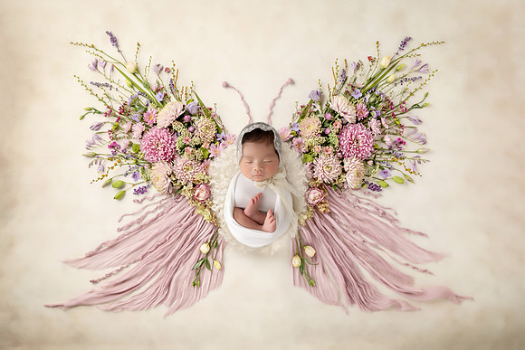 PENELOPE_14DAYS-8